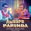 About Awaara parinda Song